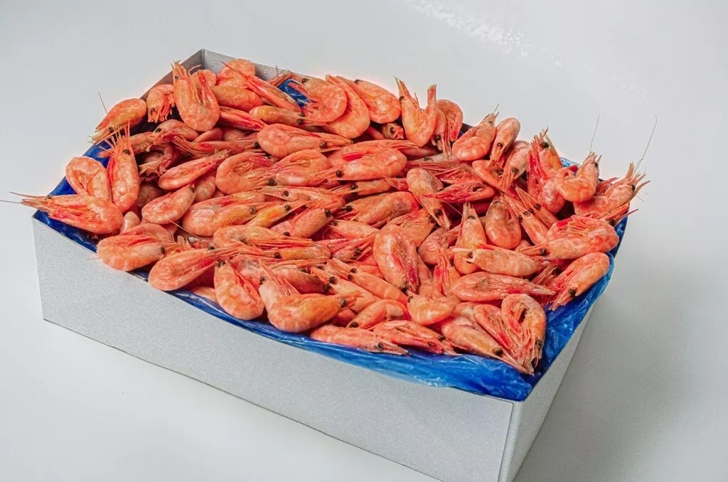 nord mile -новинка   северных креветок! в Москве 2
