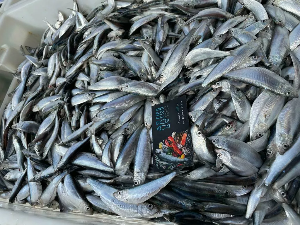 фотография продукта Рыба из каспийского моря в ассортименте