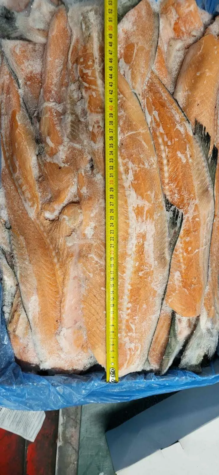 фотография продукта Хребты лосося 