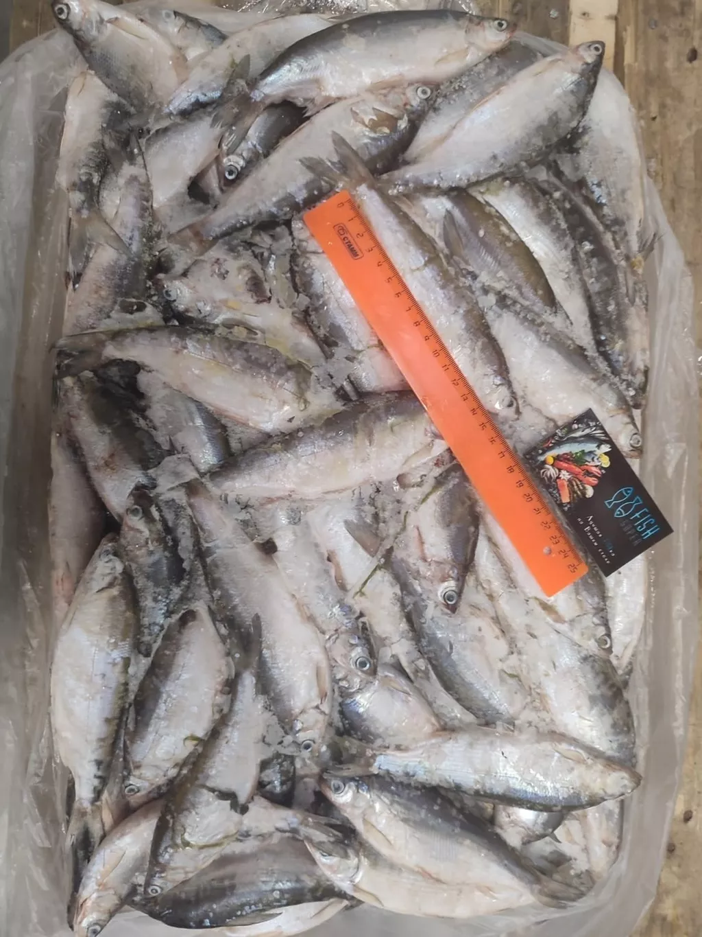 фотография продукта Икряного серебристого рыбца в рнд