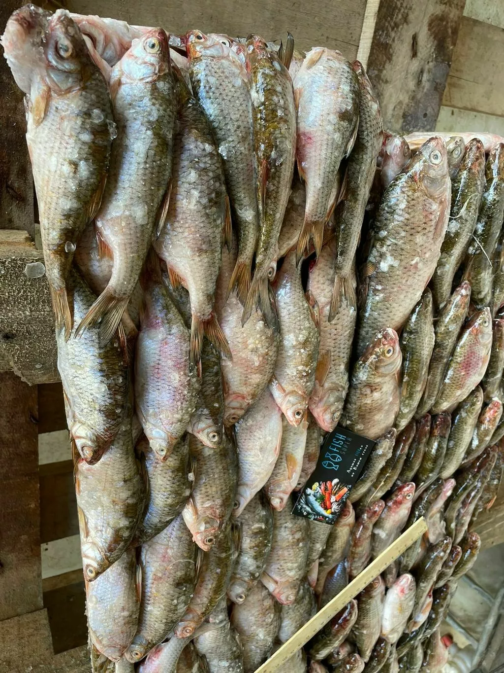фотография продукта Вобла икряная сазан килька рыбец кутум