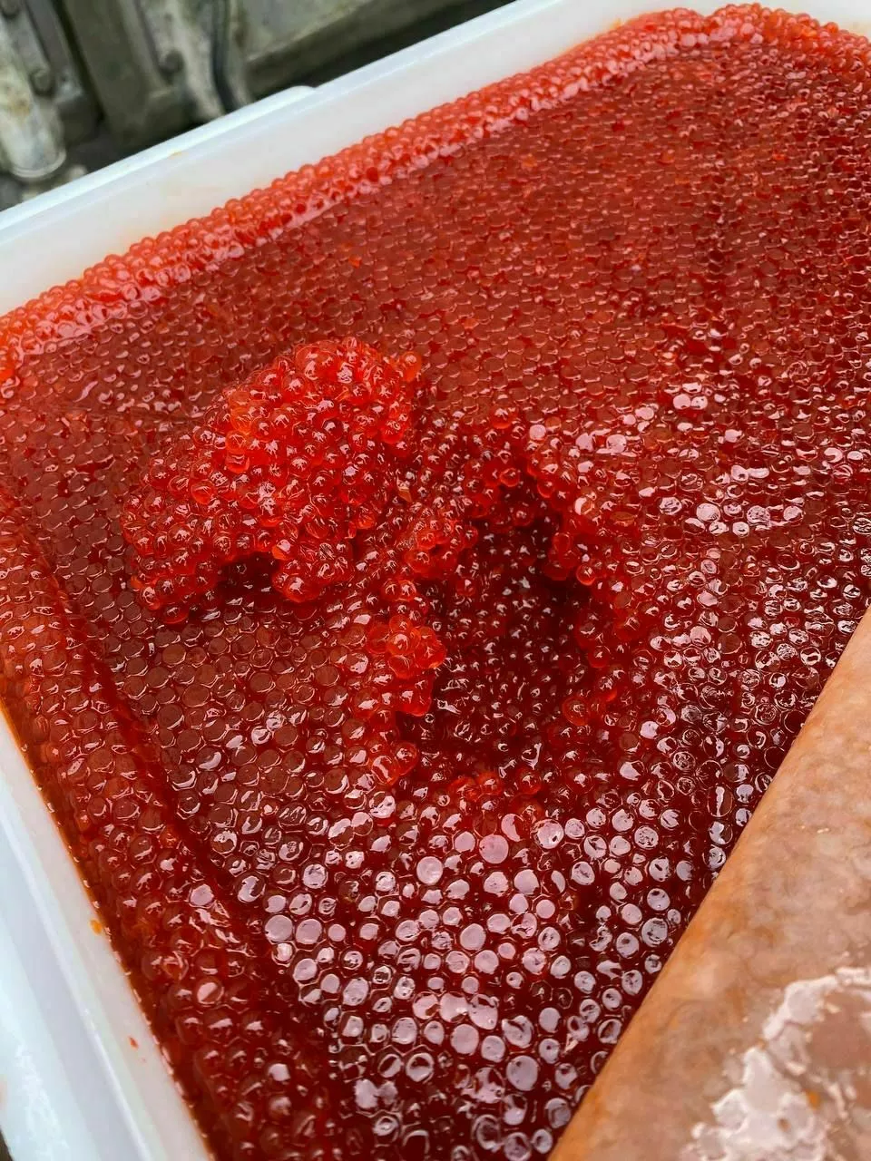 фотография продукта Красная икра и морепродукты оптом