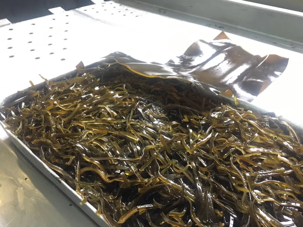 фотография продукта Морская капуста шинкованная 