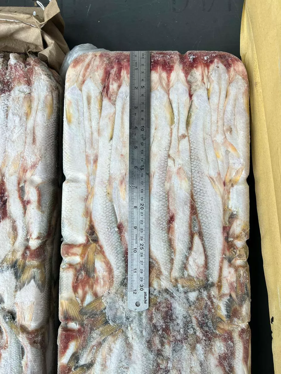 Фотография продукта Корюшка нр 25-30см зубастая камчатка
