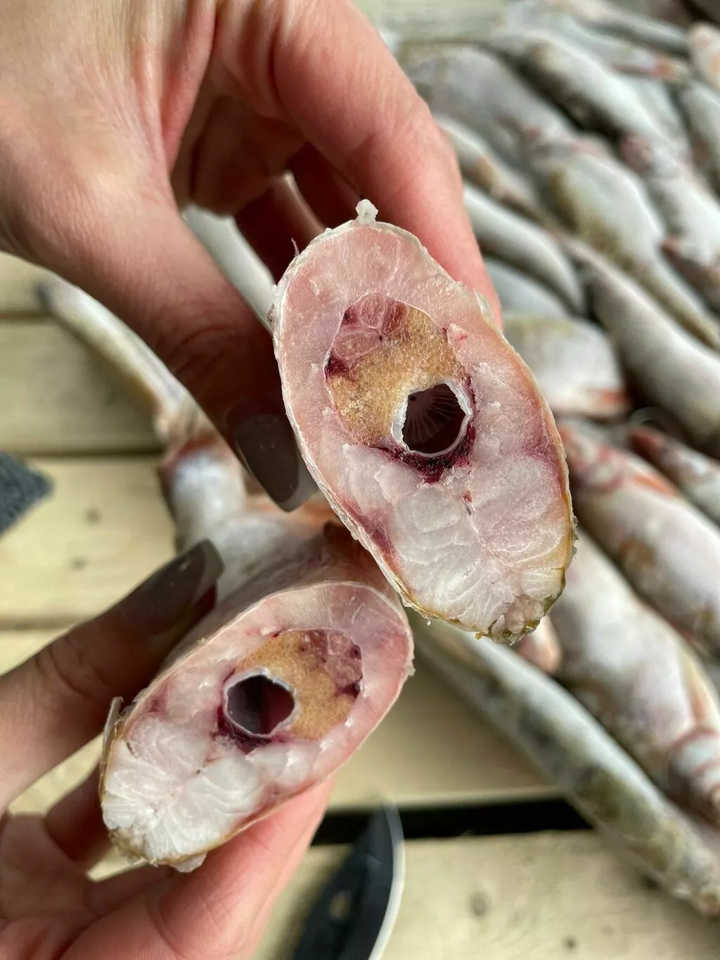 фотография продукта Осенняя путина в разгаре, рыба оптом