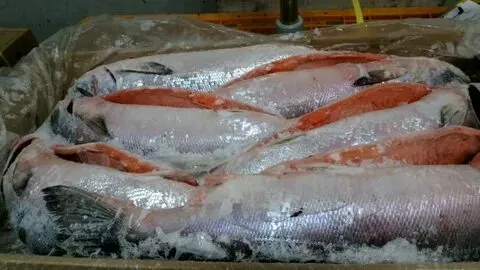 с истёк. срок. морепродукты, рыбу опт.  в Москве и Московской области 3