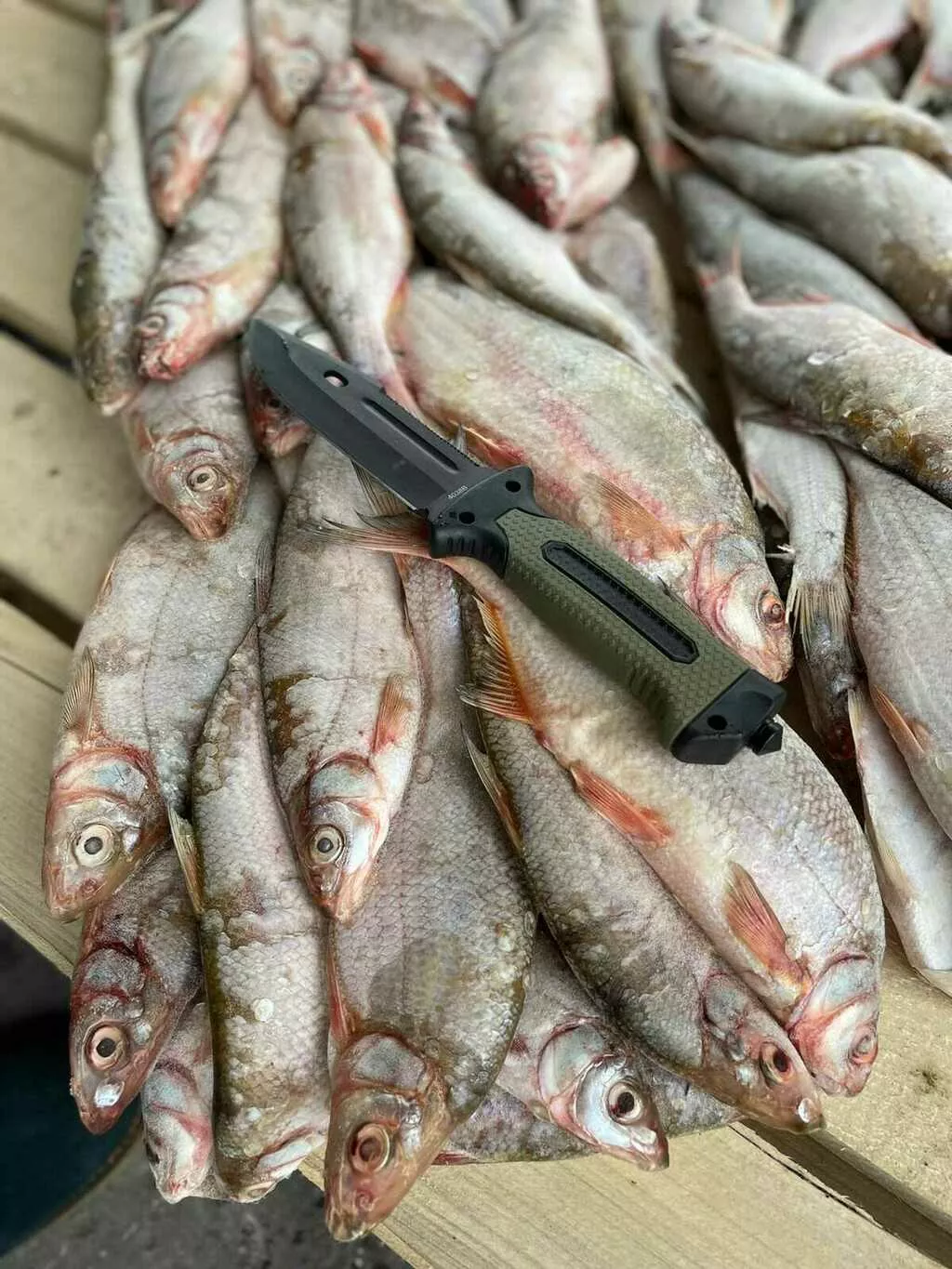 фотография продукта Каспийский рыбец икряной