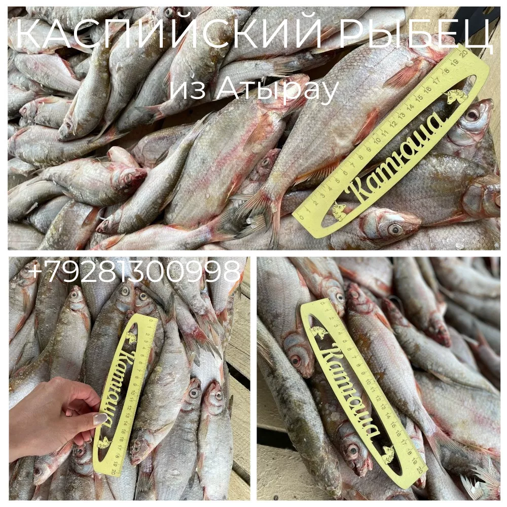 Фотография продукта Каспийский рыбец из атырау!