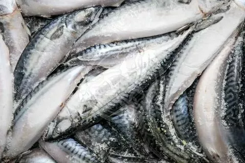 фотография продукта С осг. любую рыбу, филе, икру опт. 