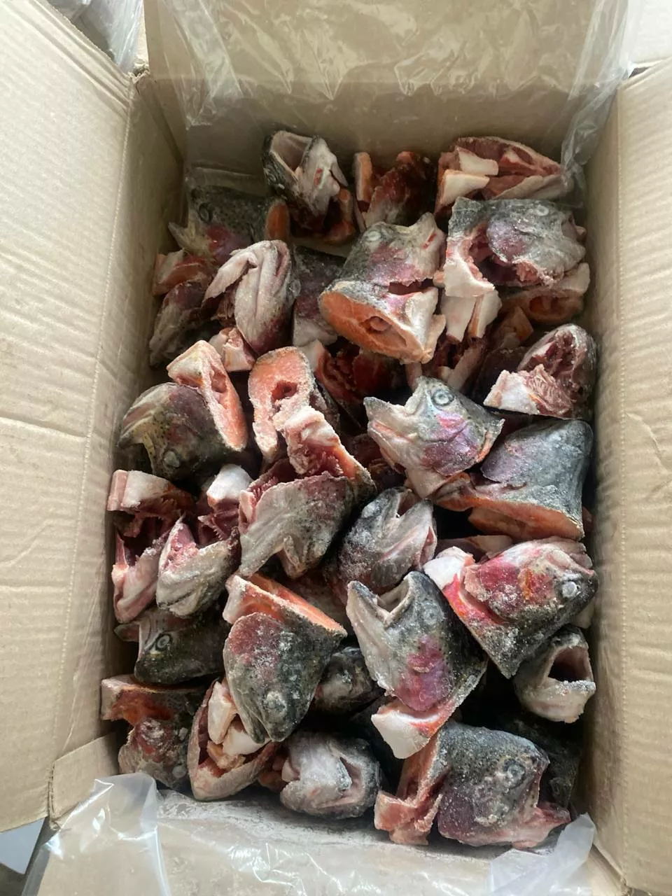 фотография продукта Голова форели глазир.(прямой рез) 