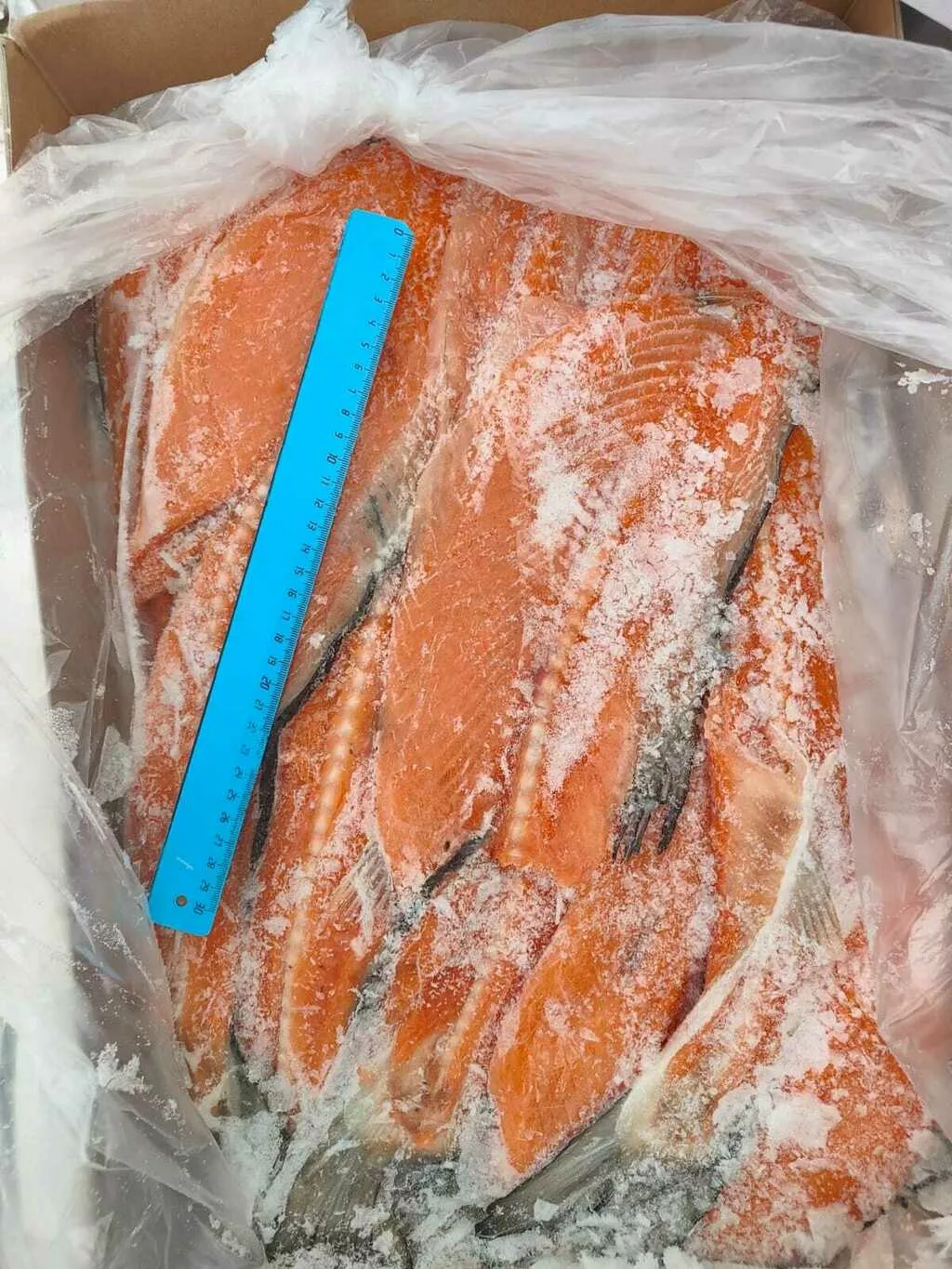 фотография продукта Хребты лосося с/м