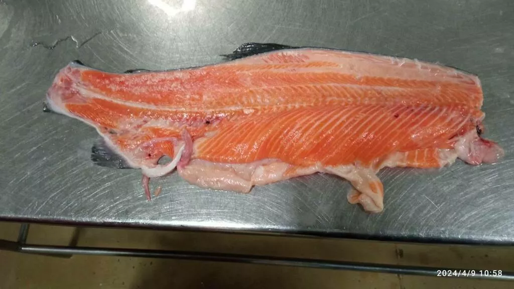 фотография продукта Хребты лососевых рыб