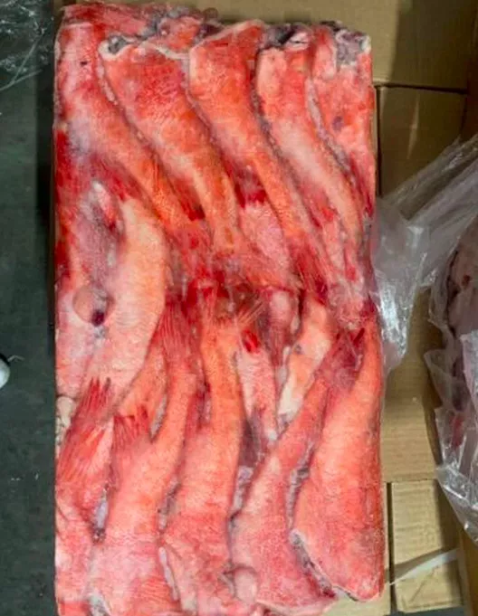 фотография продукта Рыба окунь морской средний крупный оптом