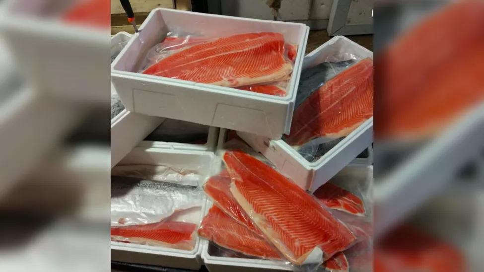 фотография продукта Красная рыба лосось форель оптом мск