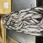 мойва вылов июнь 2026 г в Петропавловск-Камчатском и Камчатском крае