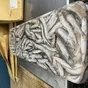 мойва вылов июнь 2026 г в Петропавловск-Камчатском и Камчатском крае 2