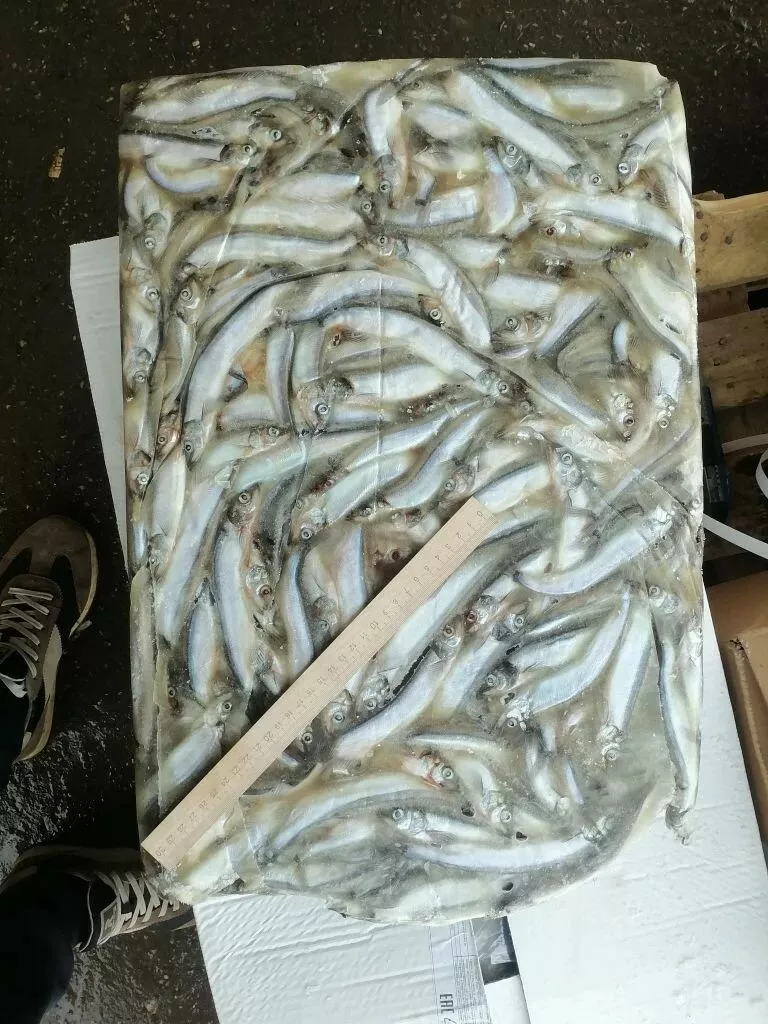 фотография продукта Мойва н/р,174-з-д, 25-35шт, фо, 02... г