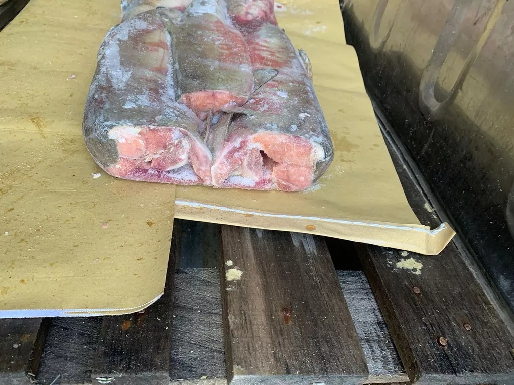 горбуша и кета пбг, гребешки на створке 5