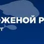  головы лососевые_ навага_сельдь в Владивостоке и Приморском крае