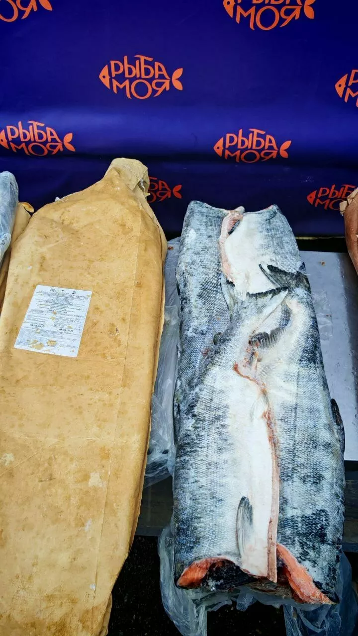 фотография продукта Кета потрошеная без головы