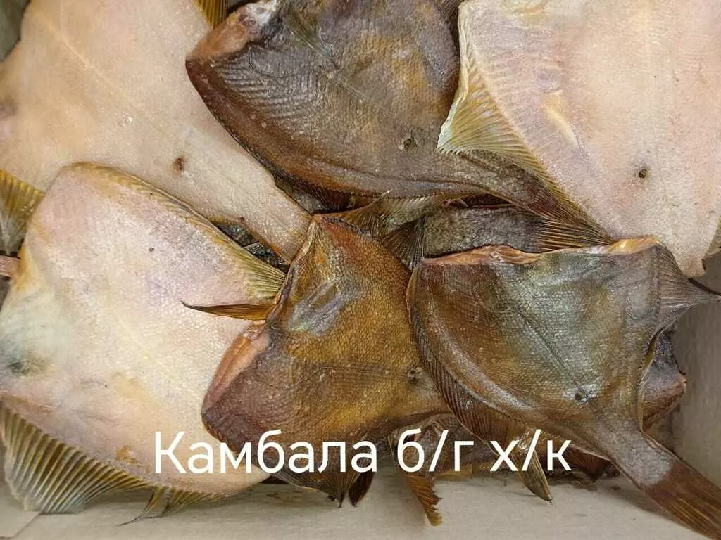 продажа рыбы вяленой и х/к в Барнауле и Алтайском крае