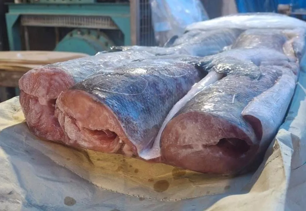 икра кеты сентябрь 2025, о.сахалин в Южно-Сахалинске и Сахалинской области 3