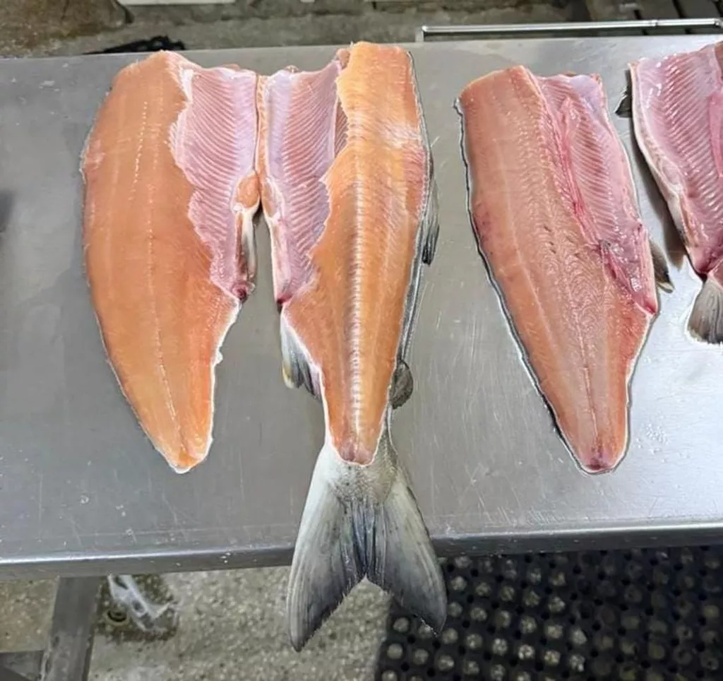 икра кеты сентябрь 2025, о.сахалин в Южно-Сахалинске и Сахалинской области 4