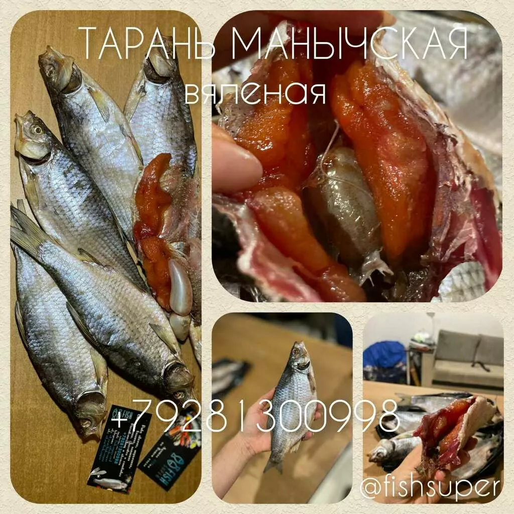 Фотография продукта Тарань манычская вяленая  крупная