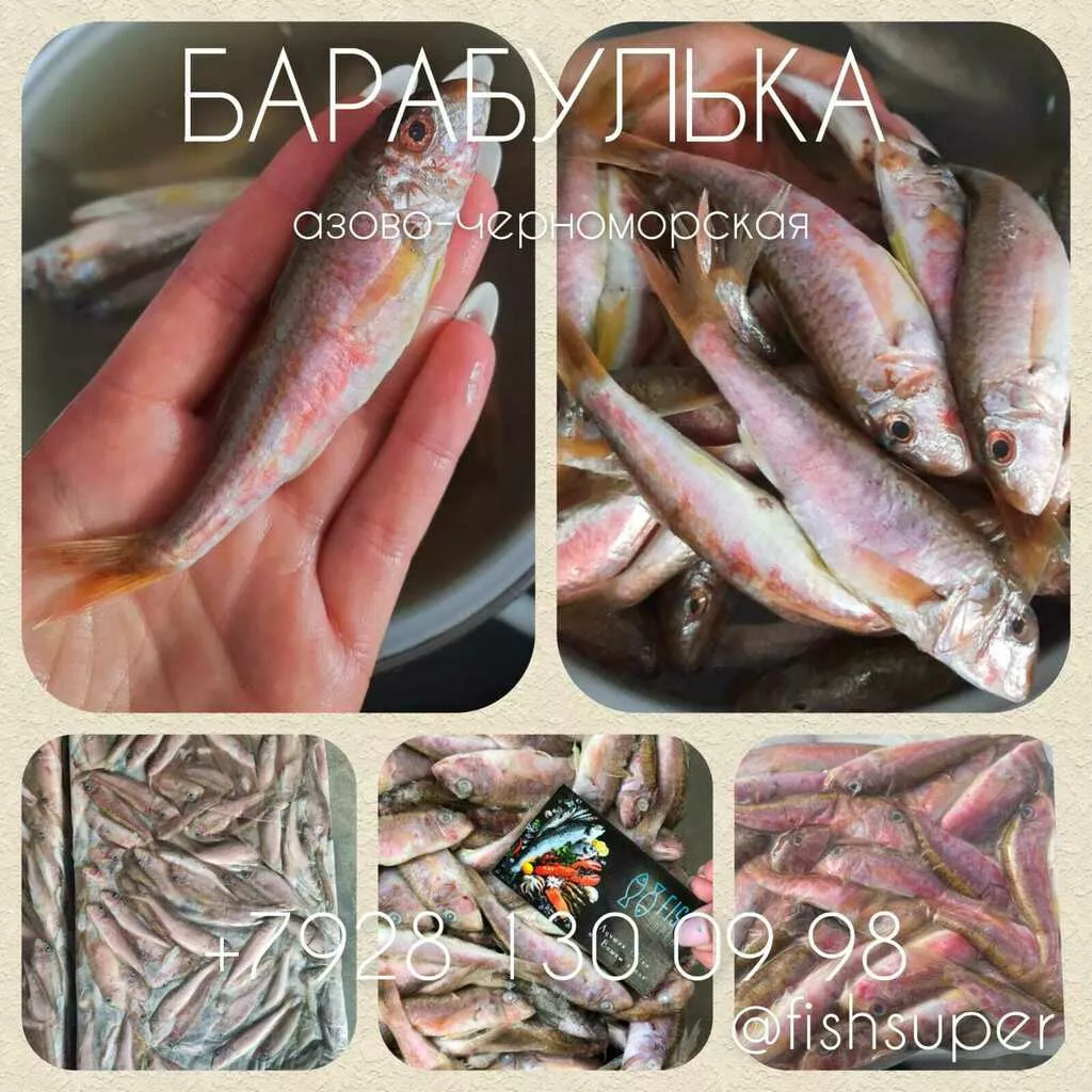 Фотография продукта Барабулька мороженая азово-черноморская 