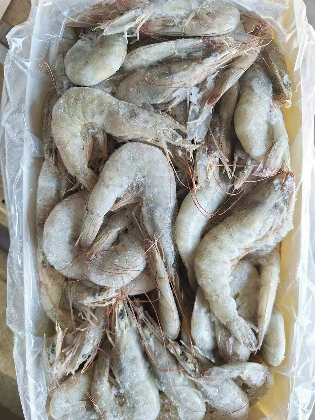 креветка ваннамей см в Москве 2