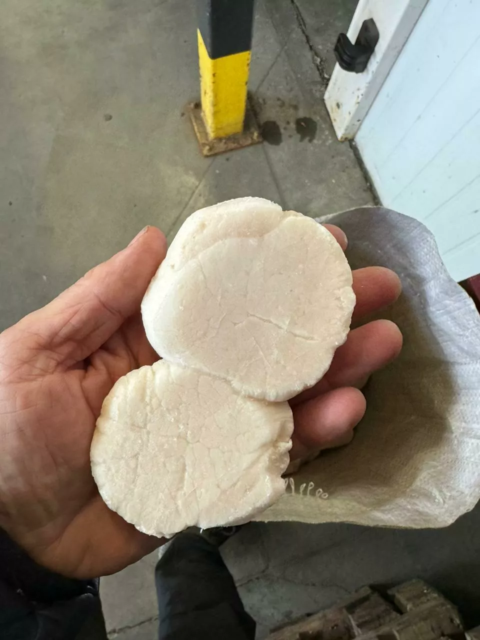 филе морского гребешка 10/20 в Москве 2