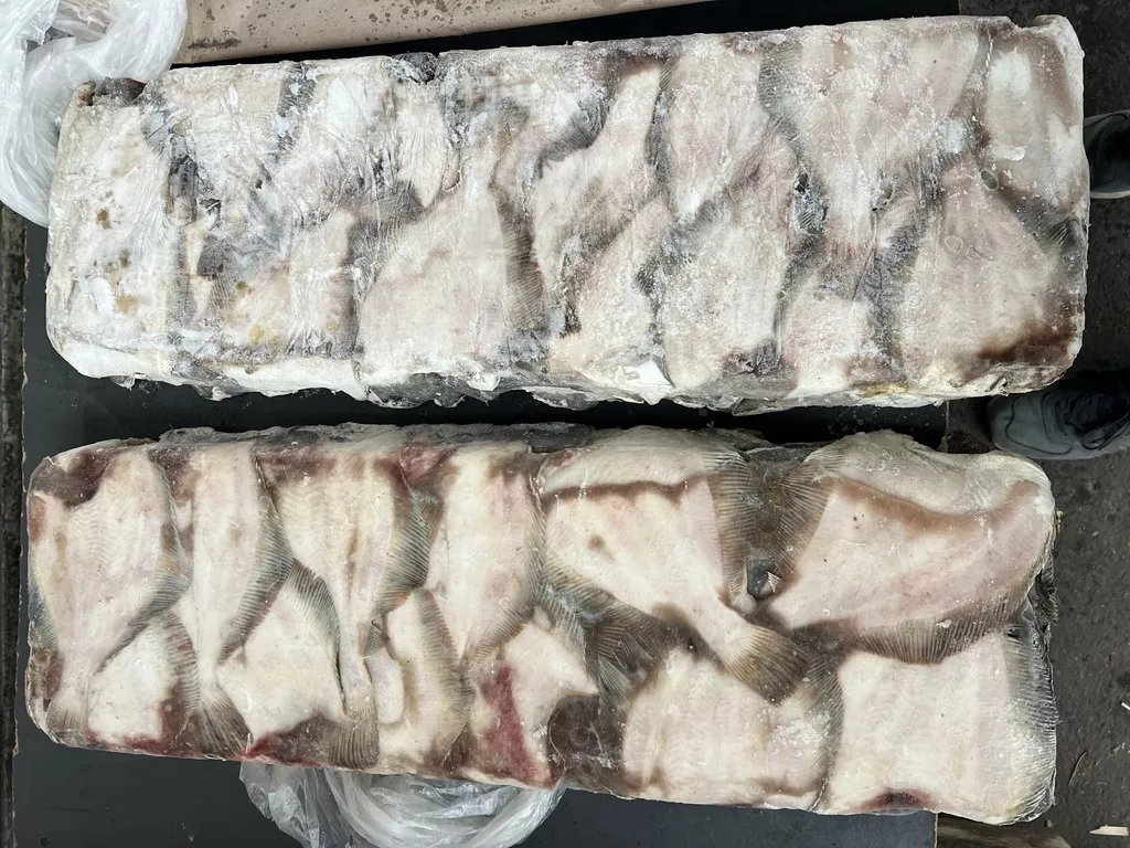 Фотография продукта Камбала бг бб  - 2s, s