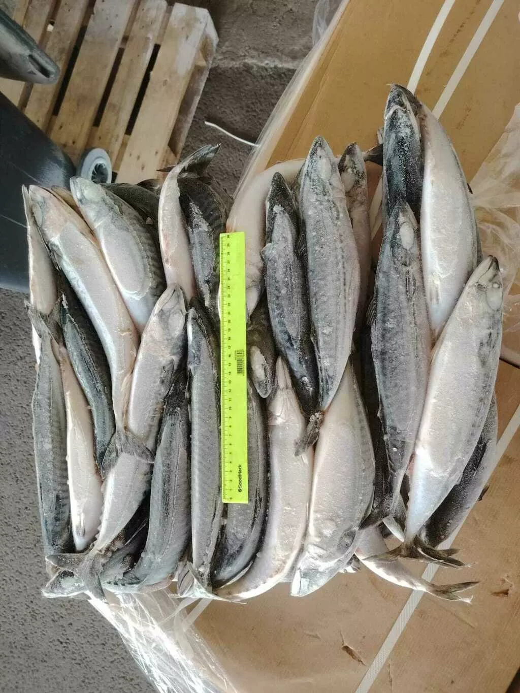 фотография продукта Скумбрию атлантика 300...