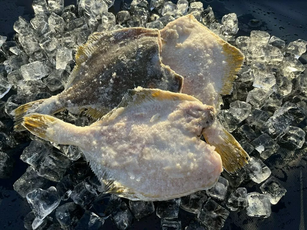 морозим, режем, чистим, упакуем в Москве и Московской области 3