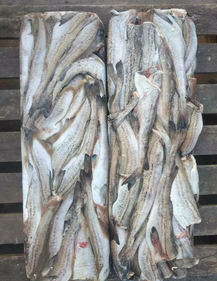 рыба и морепродукты в Новосибирске 7