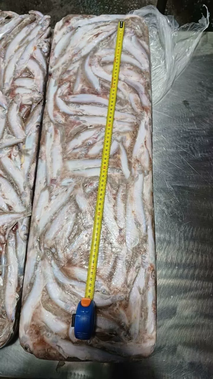 краб, икра, рыба, морепродукты в Краснодаре 7