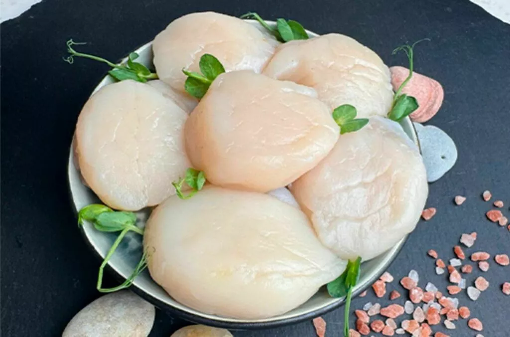 высококачественный гребешок  в Москве 2