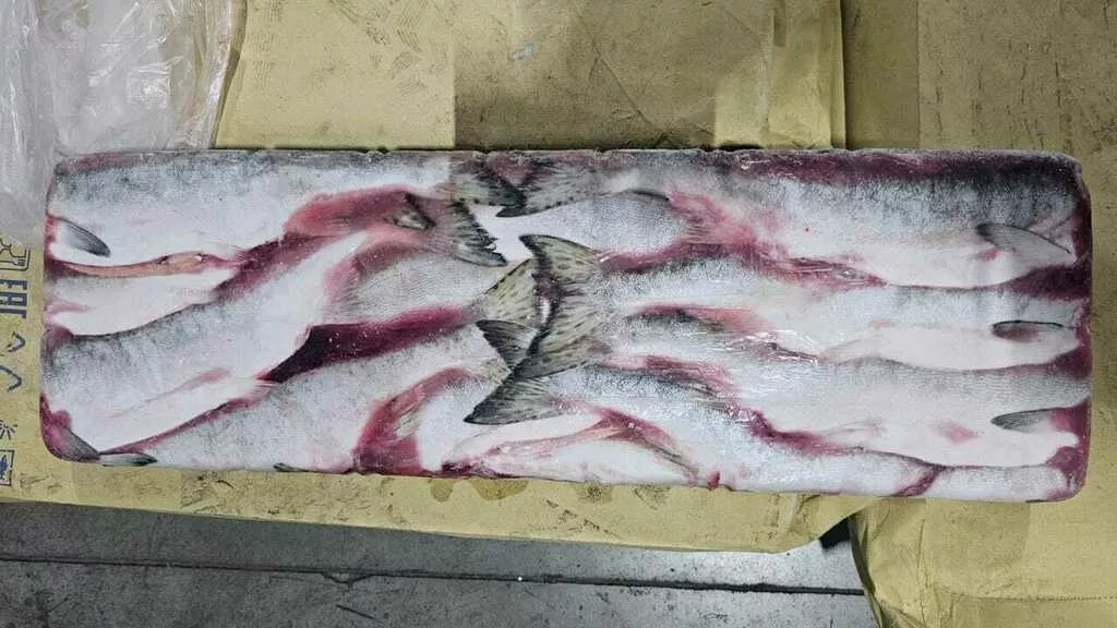 фотография продукта Горбуша пбг камчатка  (20 кг) 375 руб.