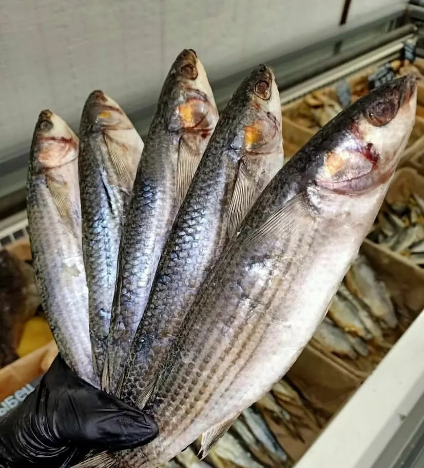 фотография продукта Вяленая кефаль черноморская