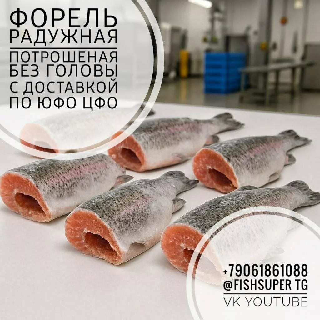 фотография продукта Форель пбг с/м и охл под заказ произ-во