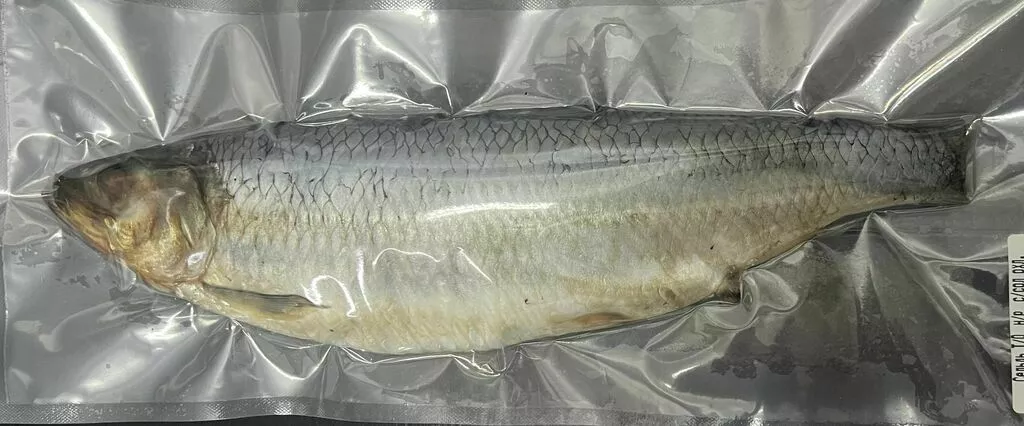 Фотография продукта Сельдь сс тушка