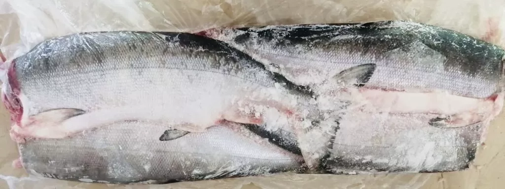 фотография продукта Кета пбг сахалаин