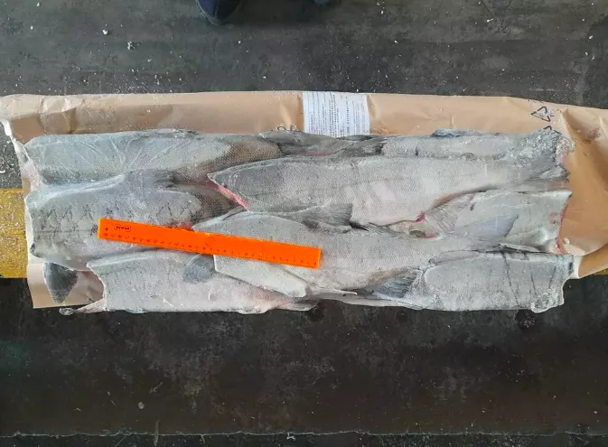 кета пбг ассортимент оптом в Москве 2