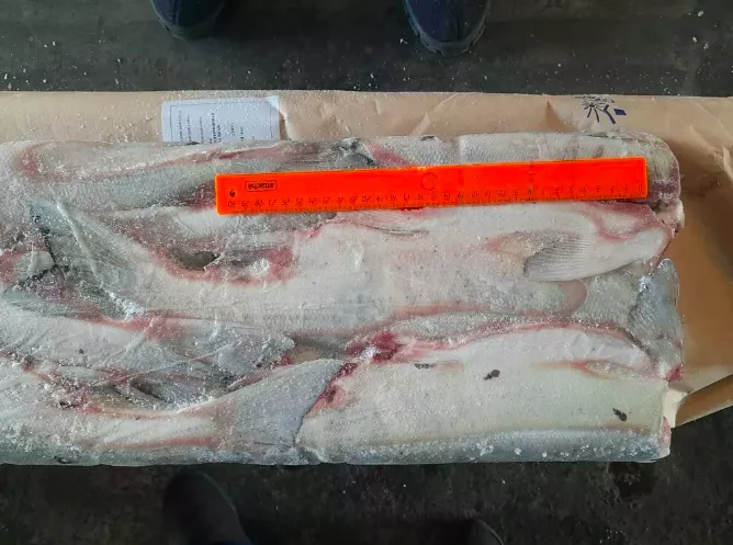 кета пбг ассортимент оптом в Москве 5