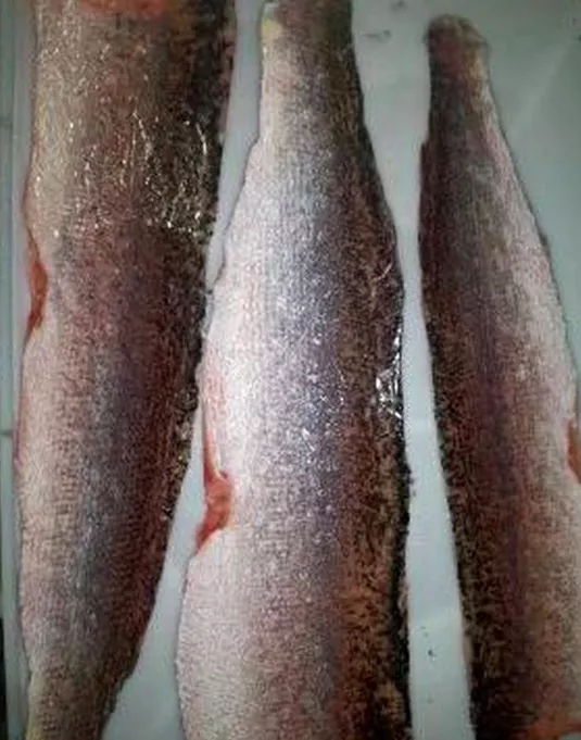 филе: лещ, щука, окунь, фарш оптом  в Москве 4