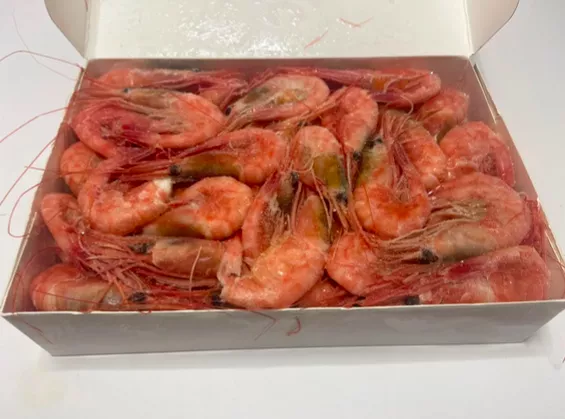 креветка северная 