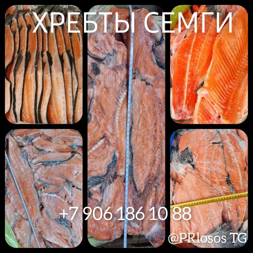 фотография продукта Субпродукты лососевых  (хребты и обрезь)