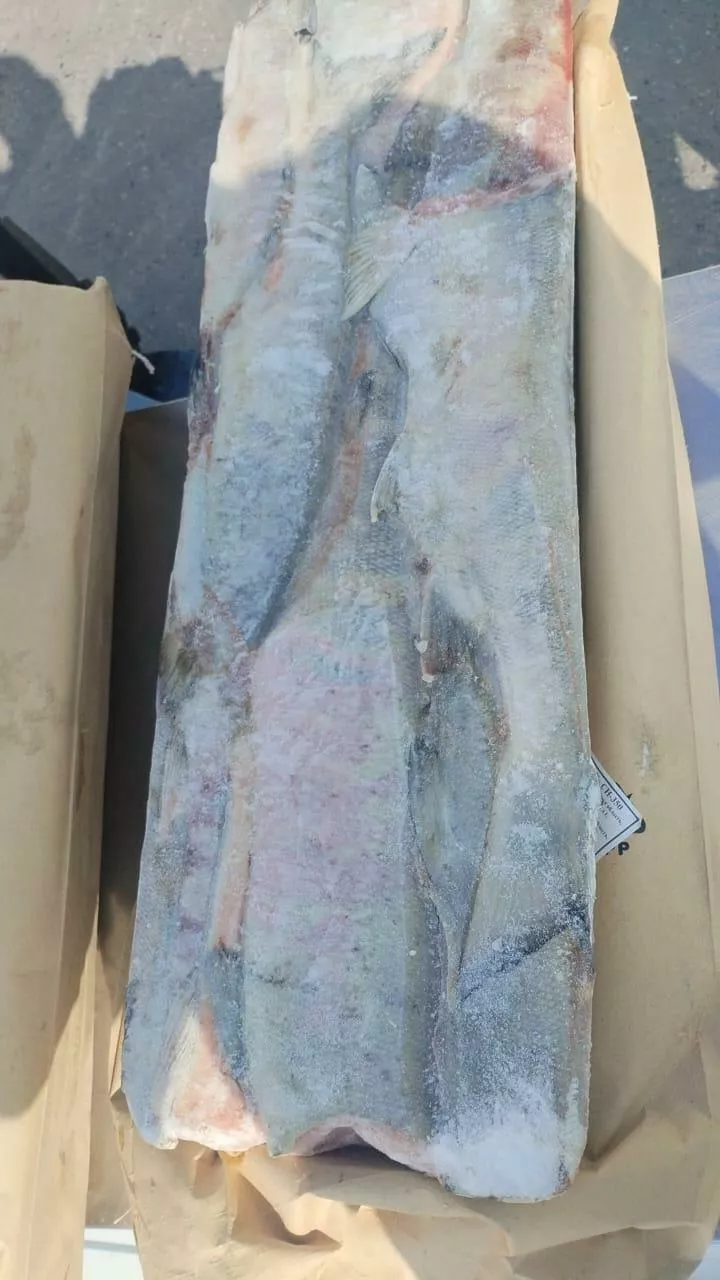 Фотография продукта Кета пбг вылов 2024г