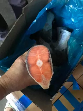 xвoсты лосocя (сёмги) форели - оптом в Москве 8