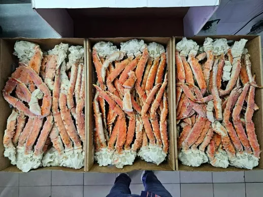 конечности краб л л2 л3 л5 оптом в Москве 5